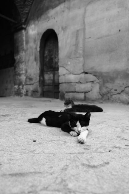 A collection of discarded household items and debris positioned outdoors on a paved surface near a brick wall. Visible objects include a wooden, disassembled bed frame leaning against other rubbish, w